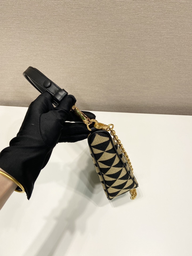 Pra*a triangle pouch